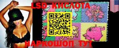 mdpv Кингисепп